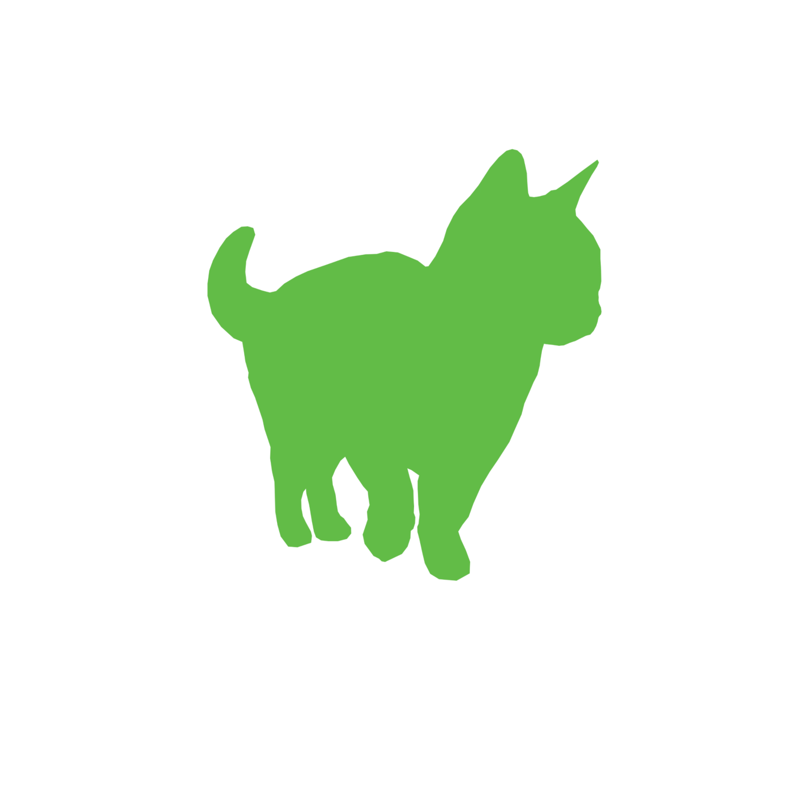 Clackamas the cat with green tint